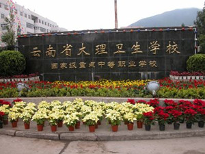 大理衛(wèi)生學校|大理衛(wèi)校