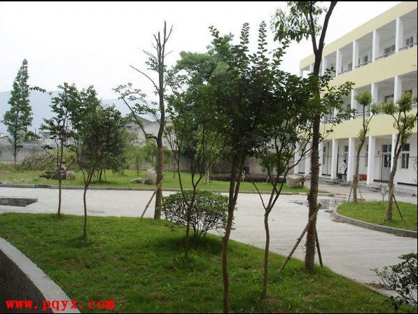 溫州市甌海區(qū)潘橋鎮(zhèn)第一小學(xué)（潘橋一?。﹫D片