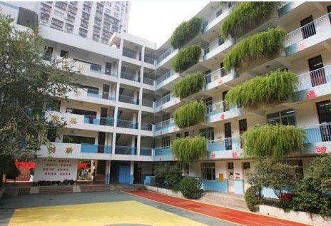 武漢市模范路小學(xué)圖片