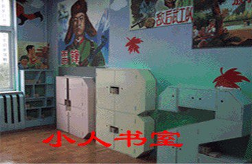 沈陽(yáng)市杏壇小學(xué)教育集團(tuán)大北二校區(qū)圖片