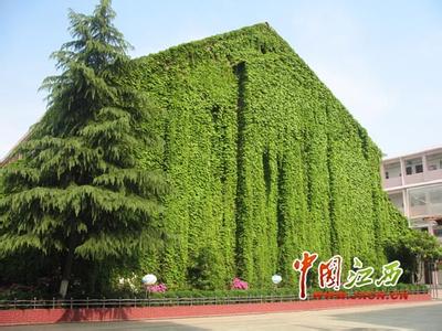 南昌市松柏小學(xué)圖片