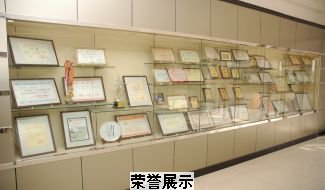 上海市閘北第八中學圖片