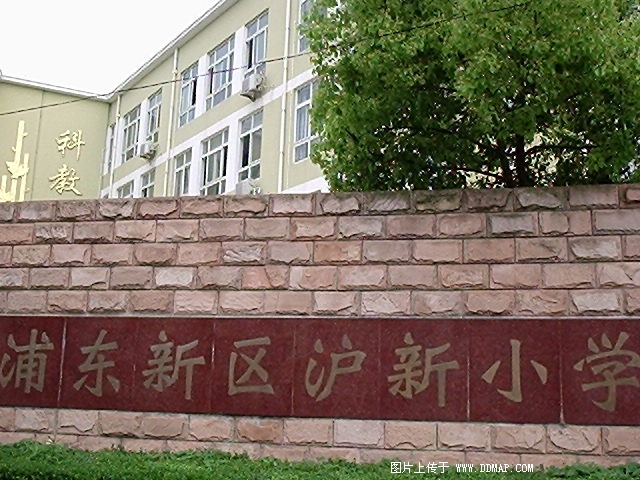 滬新小學(xué)圖片