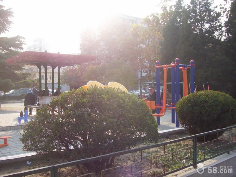 重慶市謝家灣小學(xué)圖片