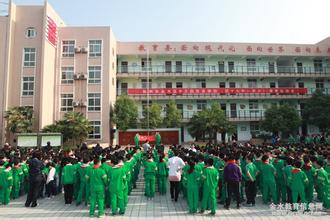 鄭州市金水區(qū)中方園雙語學(xué)校圖片