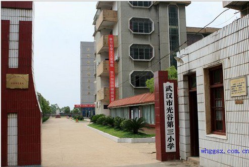 武漢市光谷第三小學(xué)