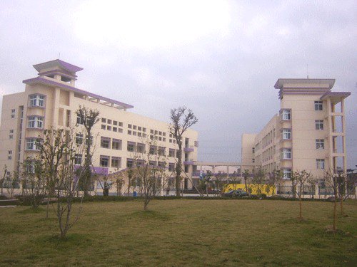 寧波市鄞州區(qū)金家漕小學(xué)圖片