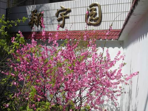 南京市考棚小學(xué)圖片
