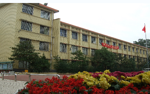 長沙市岳麓區(qū)望岳中心小學圖片