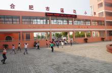 合肥市蓮花小學(xué)圖片