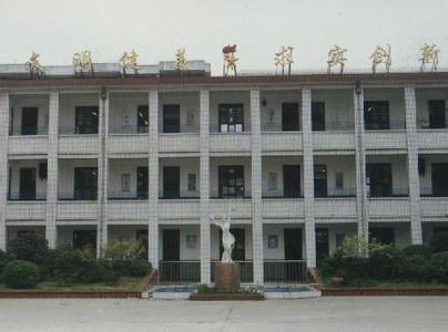合肥市六安路小學圖片