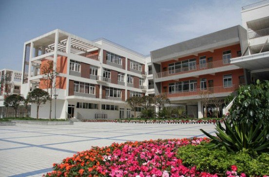 鹽道街小學錦馨分校圖片