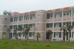 長沙市虹橋小學(xué)圖片