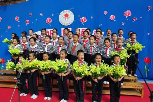 石家莊市華清街小學(xué)圖片