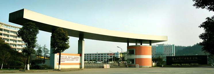 重慶工貿(mào)職業(yè)技術(shù)學(xué)院（重慶工貿(mào)職院）圖片