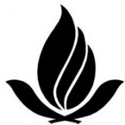 佛山科學(xué)技術(shù)學(xué)院圖片