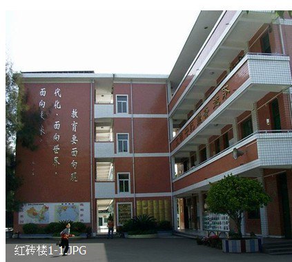 福州倉(cāng)山小學(xué)圖片