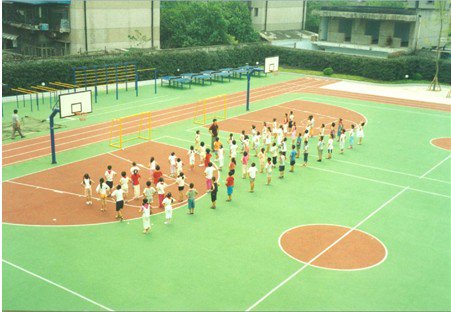 成都市白果林小學(xué)圖片