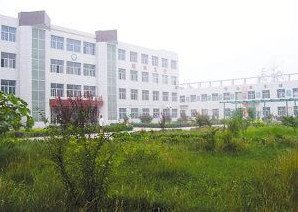 定州市南支合中學(xué)圖片