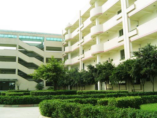 成都市晉陽小學圖片
