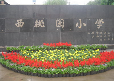 西桃園小學(xué)圖片