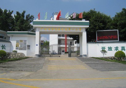 廣州市蘿崗區(qū)九龍第一小學(xué)（九龍一?。﹫D片