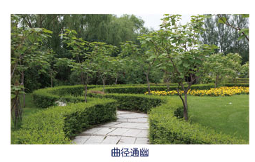 哈爾濱阿城區(qū)第一中學(xué)（阿城一中）圖片