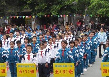 廣州市黃埔區(qū)魚(yú)珠小學(xué)圖片
