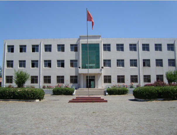 天津市寶坻區(qū)高家莊鎮(zhèn)中會小學圖片