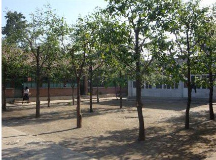 孟家樓中心小學(xué)圖片