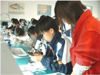 石家莊市第十三中學圖片