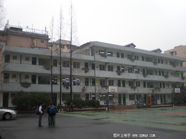 上海市長寧區(qū)開元小學(xué)圖片