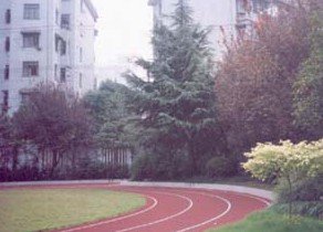 上海市徐匯區(qū)虹橋路小學圖片