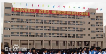 畢節(jié)醫(yī)學高等?？茖W校（畢節(jié)市衛(wèi)生學校）