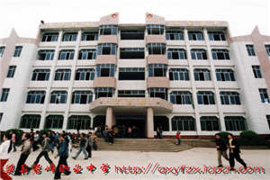 四川省渠縣巖峰職業(yè)中學(xué)圖片