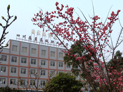 樂至縣高級職業(yè)中學圖片