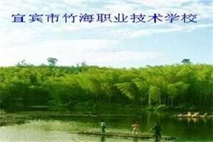 竹海職中|宜賓市竹海職業(yè)技術(shù)學(xué)校圖片