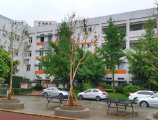 重慶市藝才技工學(xué)校