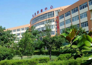 禮泉縣職教中心圖片